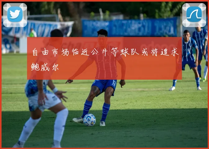 自由市场临近公牛等球队或将追求鲍威尔