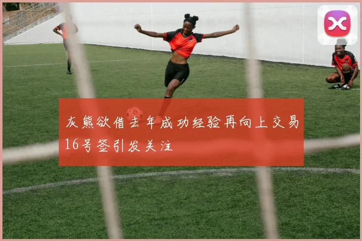 灰熊欲借去年成功经验再向上交易16号签引发关注